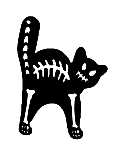 Squeleton cat